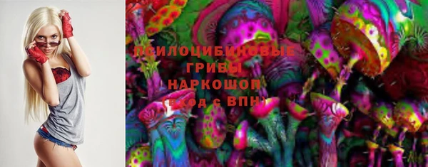 мескалин Богданович