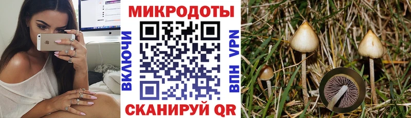 Галлюциногенные грибы Cubensis  Краснообск 